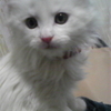 tomoさんのプロフィール画像