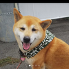 かずさんのプロフィール画像