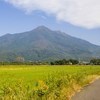 りっくさんのプロフィール画像
