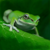 unix.inoueさんのプロフィール画像
