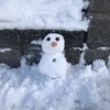 あやちょさんのプロフィール画像