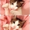 kuuさんのプロフィール画像
