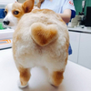ひぃろさんのプロフィール画像