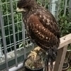 タッキー沢さんのプロフィール画像
