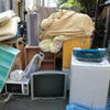 majoさんのプロフィール画像