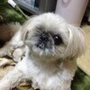 ともさんのプロフィール画像