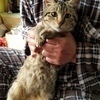 パンちゃんさんのプロフィール画像