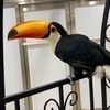 なぎささんのプロフィール画像