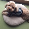 まうさんのプロフィール画像