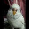 madatsubomさんのプロフィール画像