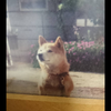 チャコさんのプロフィール画像