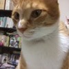siroresa2さんのプロフィール画像