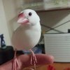 つかさ