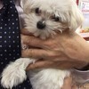 四角い顔のやまぐちさんのプロフィール画像