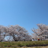 コブクロ大好きさんのプロフィール画像