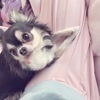 ねねこさんのプロフィール画像