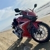 せいぽんさんのプロフィール画像
