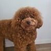 るかさんのプロフィール画像