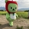 アルクマさんのプロフィール画像