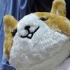 アジさんのプロフィール画像