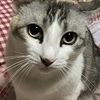 あやさんのプロフィール画像