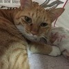 にこにこ