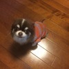 Renamさんのプロフィール画像