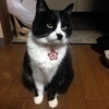 Shinさんのプロフィール画像