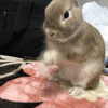 幸菜さんのプロフィール画像