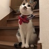 ひでこさんのプロフィール画像