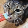 xxtakayoxxさんのプロフィール画像