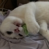 しょうたさんのプロフィール画像