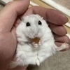 ひろさんのプロフィール画像