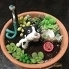 リンクスさんのプロフィール画像