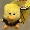 どりさんのプロフィール画像