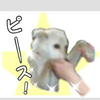 ピースさんのプロフィール画像