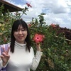 チコリ茶さんのプロフィール画像