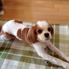 きよちゃんさんのプロフィール画像