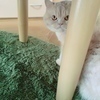 はるさんのプロフィール画像