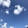 こはさんのプロフィール画像