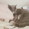 やざきちさんのプロフィール画像
