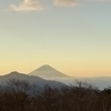 ぴょさんのプロフィール画像