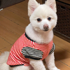 コロさんのプロフィール画像