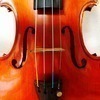 Soy音楽教室さんのプロフィール画像
