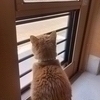 ちーさんのプロフィール画像
