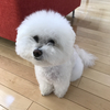 かずん。