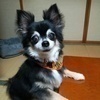 Rachel さんのプロフィール画像