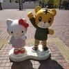 もるさんのプロフィール画像