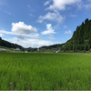 うっちぃさんのプロフィール画像