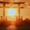 pottyさんのプロフィール画像